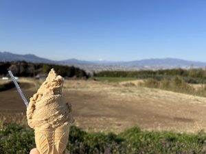 長坂牧場のみるく工房タンポポ